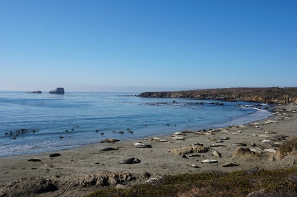 gallery/thumbnail_DSC03354