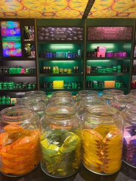 gallery/thumbnail_IMG_6850