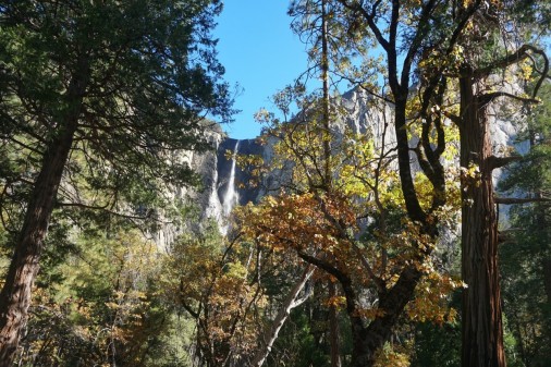 gallery/thumbnail_Image (2)