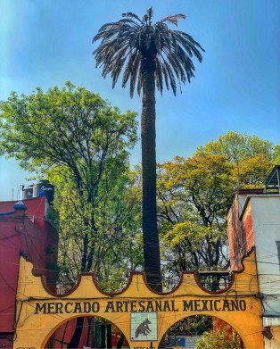 gallery/thumbnail_Image