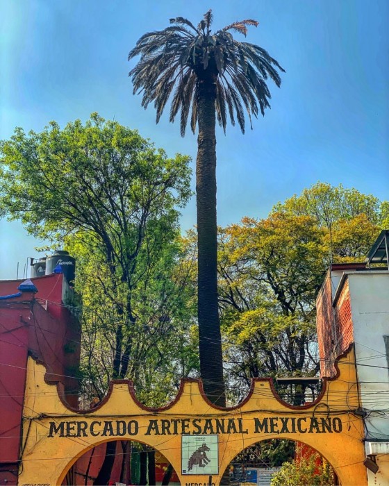 gallery/thumbnail_Image