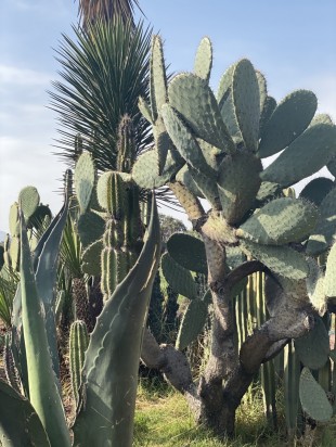 gallery/thumbnail_Image (7)